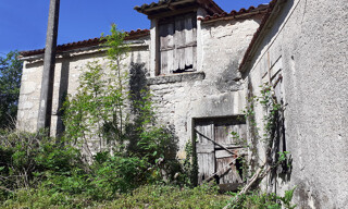 Photo N° 4