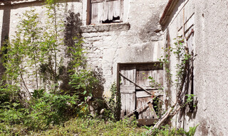 Photo N° 7