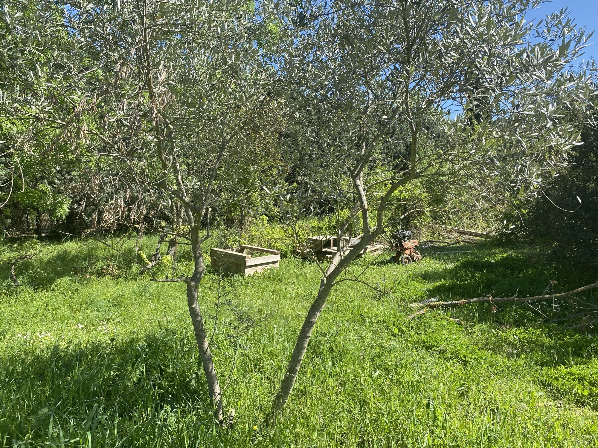 Aix-en-Provence Terrain à bâtir 460 m²