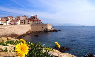 Commerce  120 m² à vendre à Antibes (06600)