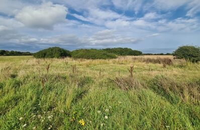 terrain  pièces 1807 m2 à vendre à Crozon (29160)