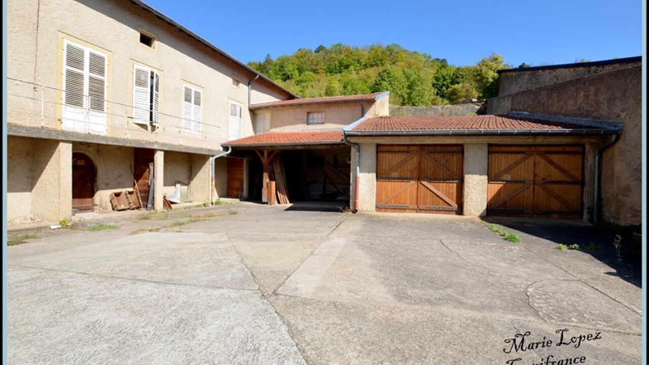 maison 10 pièces 235 m2 à vendre à Gorze (57680)