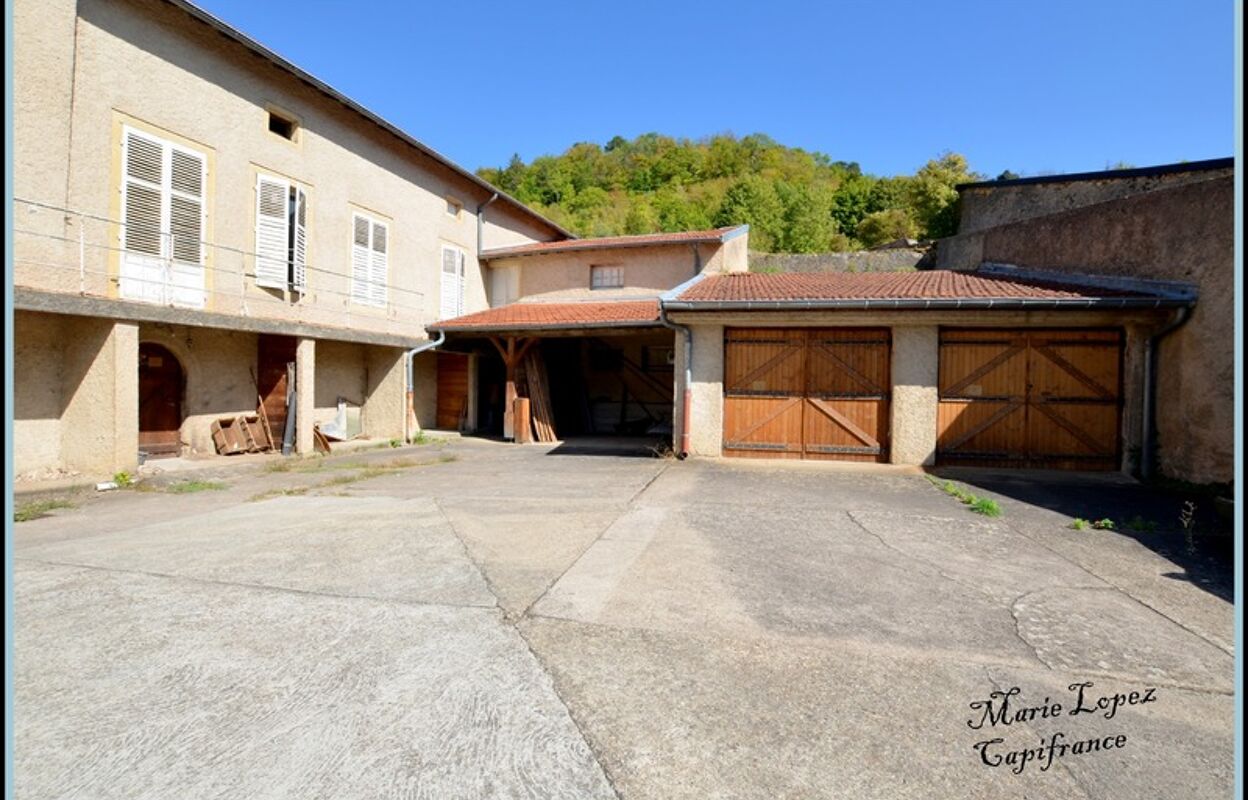 maison 10 pièces 235 m2 à vendre à Gorze (57680)