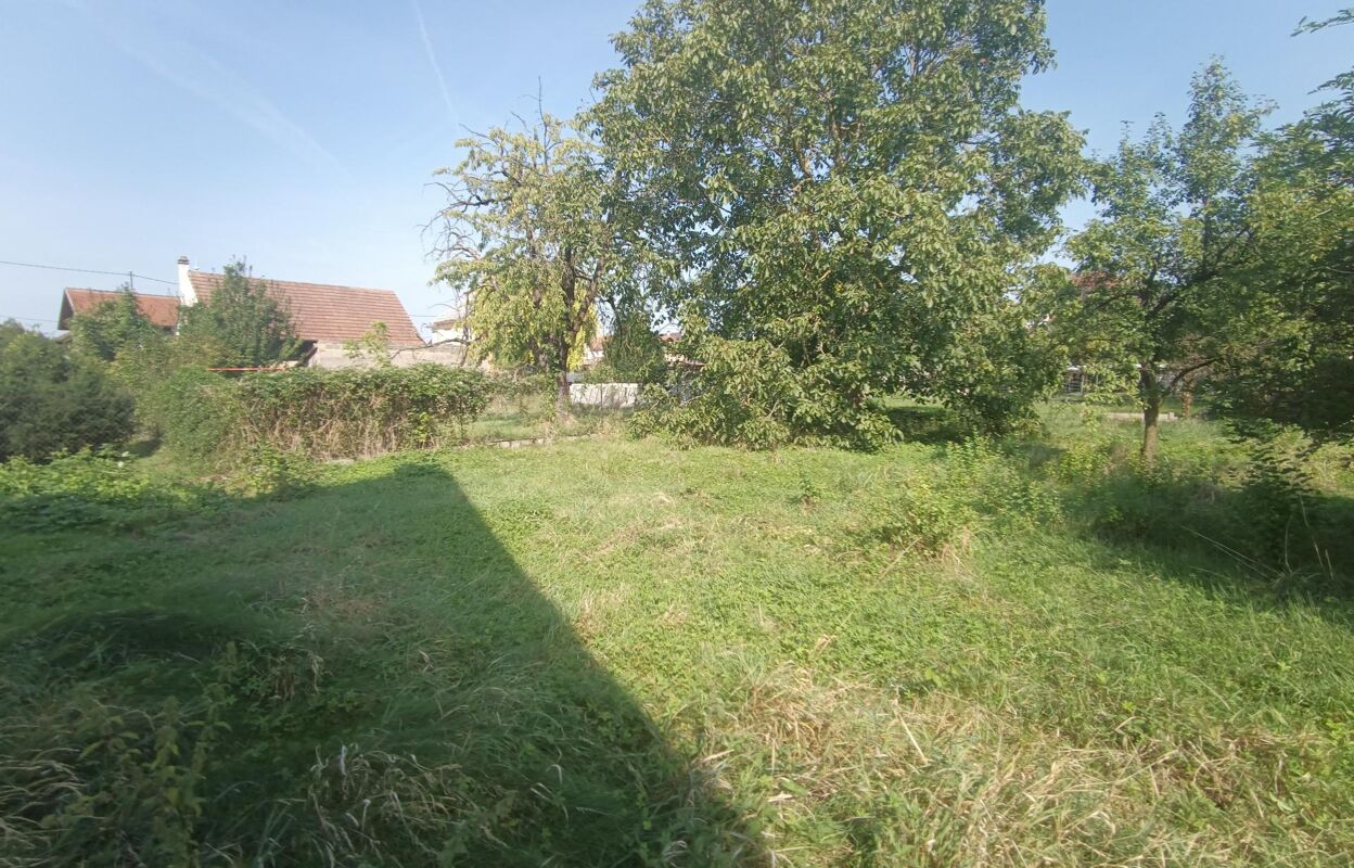 terrain  pièces 493 m2 à vendre à Marckolsheim (67390)