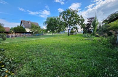 vente terrain 106 000 € à proximité de Bischwihr (68320)