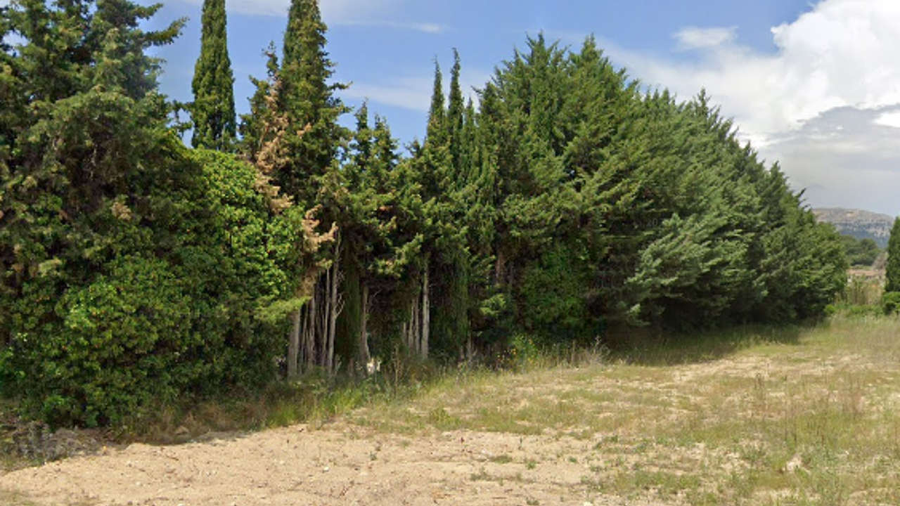 terrain  pièces 623 m2 à vendre à Beaumes-de-Venise (84190)