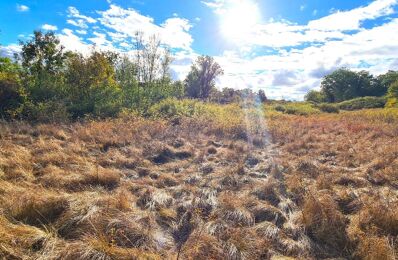 vente terrain 39 000 € à proximité de Montvalent (46600)