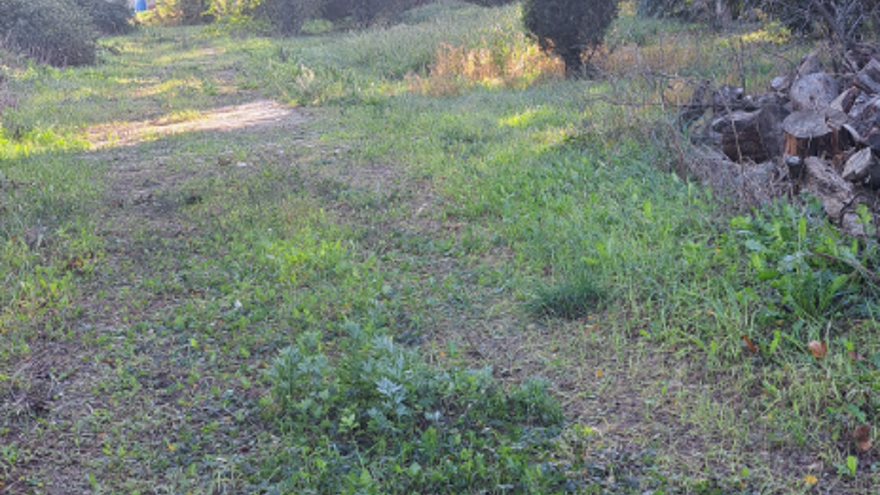 terrain  pièces 500 m2 à vendre à Cavaillon (84300)