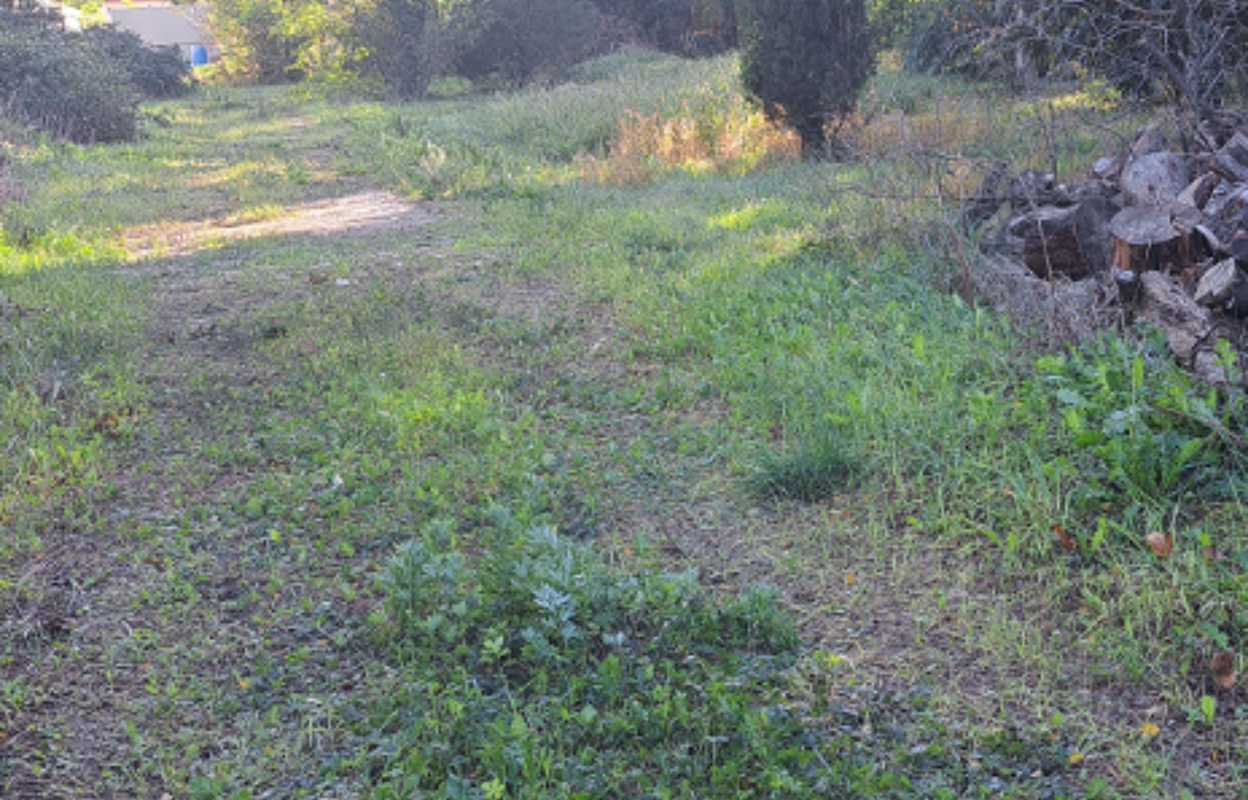 terrain  pièces 500 m2 à vendre à Cavaillon (84300)