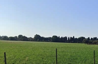 vente terrain 194 900 € à proximité de Maussane-les-Alpilles (13520)