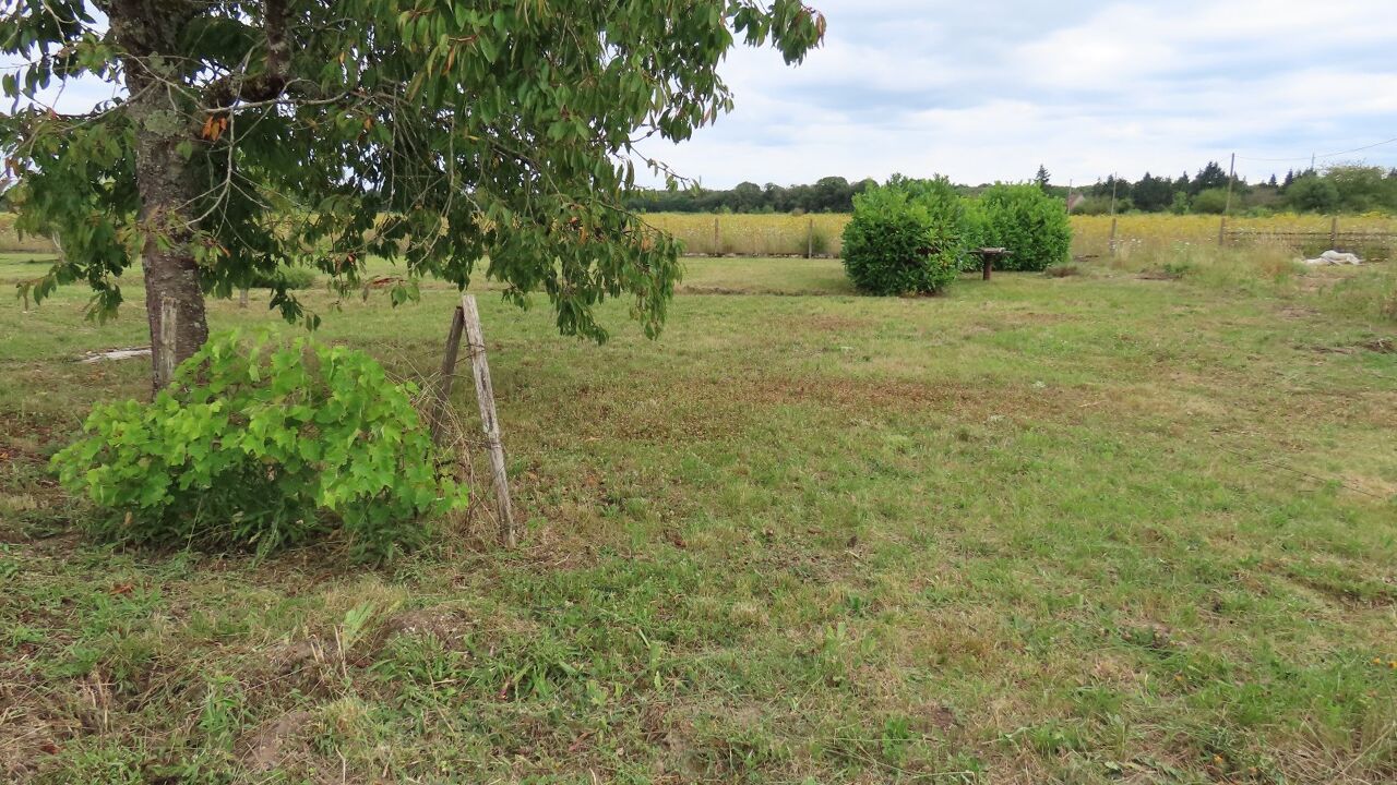 terrain  pièces 730 m2 à vendre à Olivet (45160)