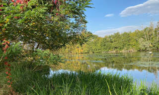 Maison 5 Pièces 140 m² à vendre à Saint-Hilaire-Saint-Mesmin (45160)