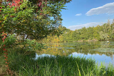 Maison 5 pièces 550000 €