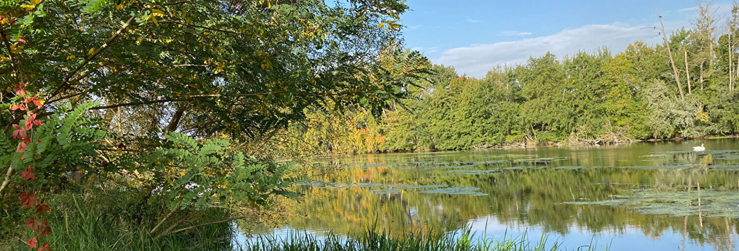 Maison 5 Pièces 140 m² à vendre à Saint-Hilaire-Saint-Mesmin (45160)