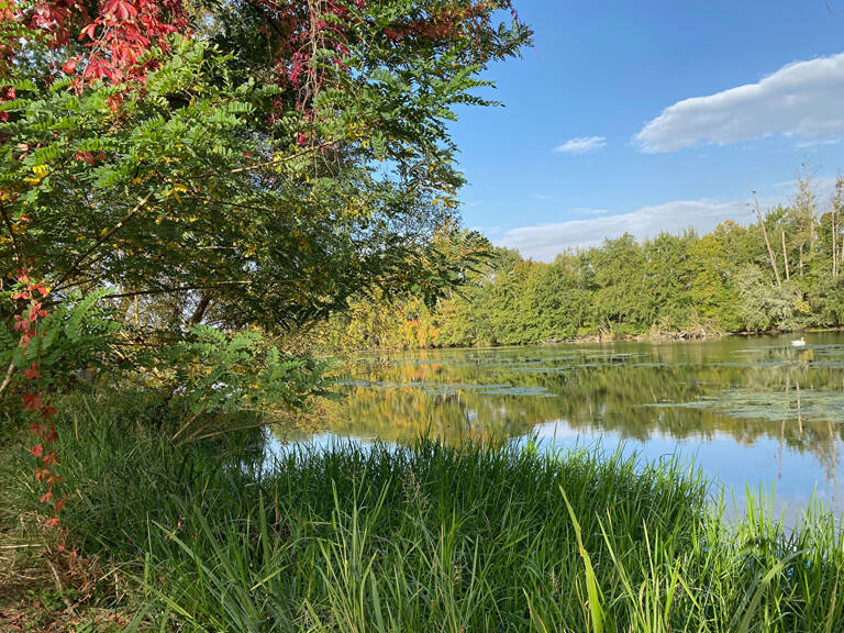 bord du Loiret Maison de charme — photo 1