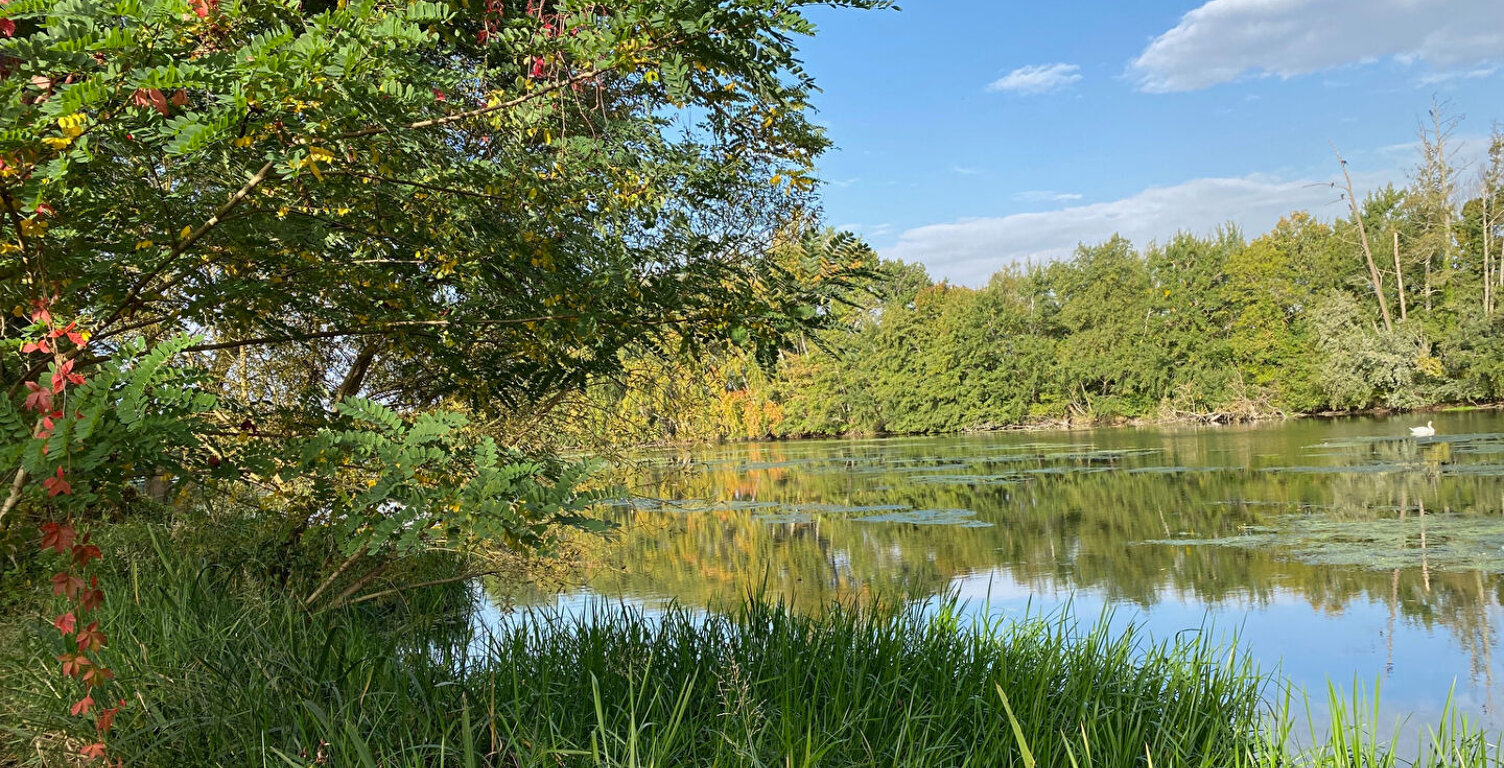 bord du Loiret Maison de charme — photo 1