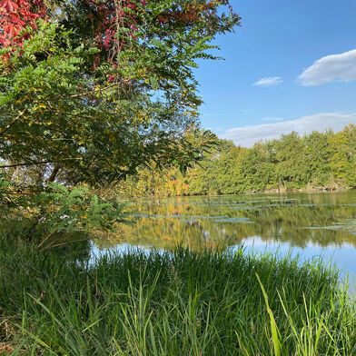 Maison 5 pièces 550000 €