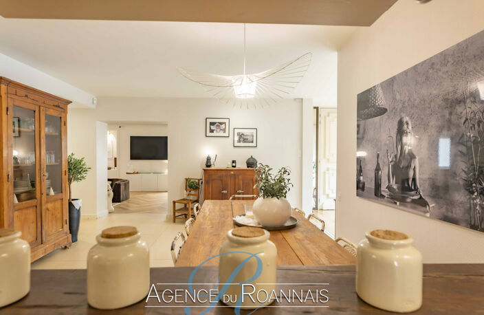 Maison de ville à vendre à LE COTEAU offrant 230m2 habitable — photo 4
