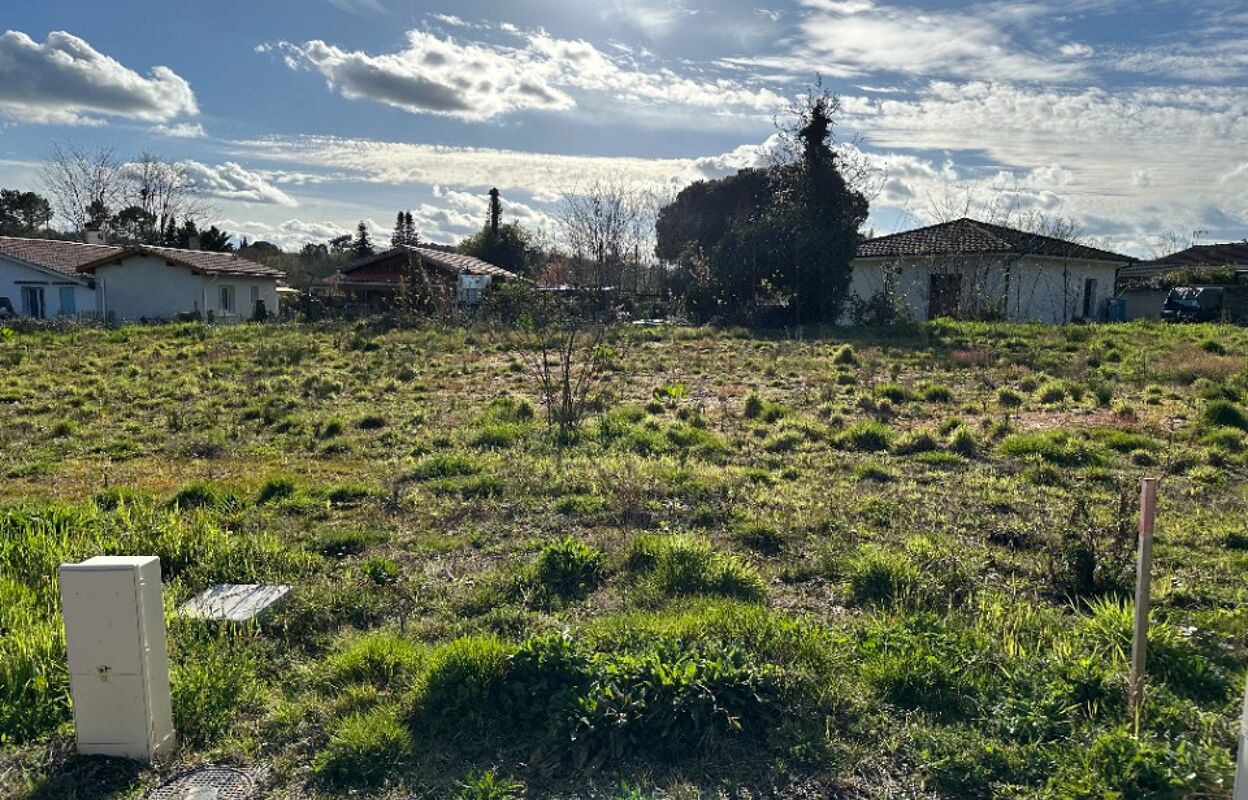 terrain  pièces 350 m2 à vendre à Léognan (33850)