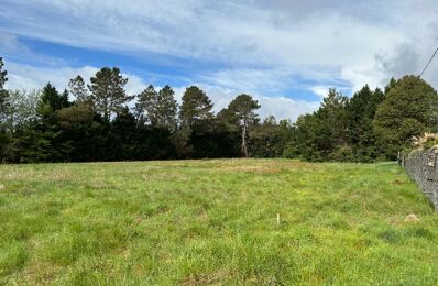 terrain  pièces 550 m2 à vendre à Saint-Morillon (33650)