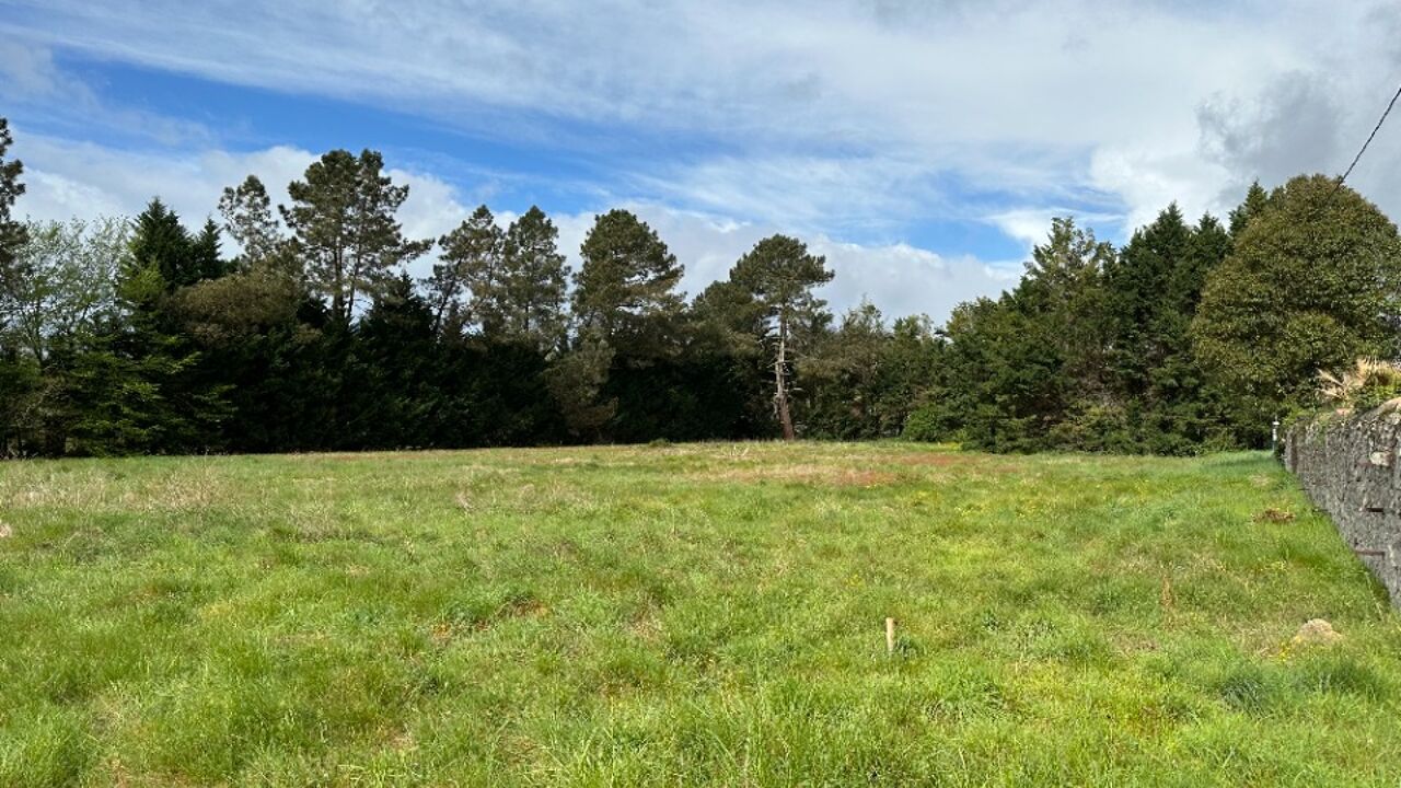 terrain  pièces 550 m2 à vendre à Saint-Morillon (33650)