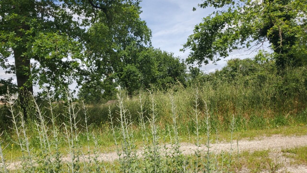 terrain  pièces 450 m2 à vendre à Mimizan (40200)