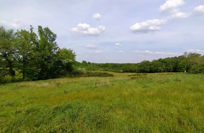 terrain  pièces 2800 m2 à vendre à Saint-Paul-de-Serre (24380)