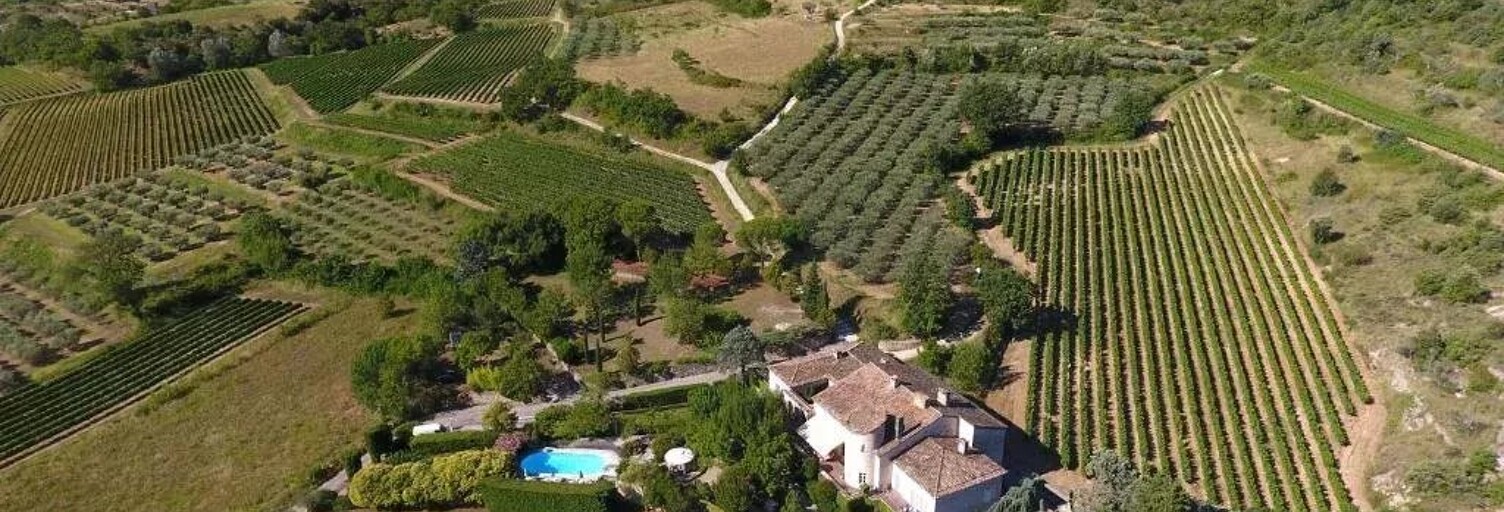 Maison 14 Pièces 545 m² à vendre à Saint-Sauveur-de-Cruzières (07460)