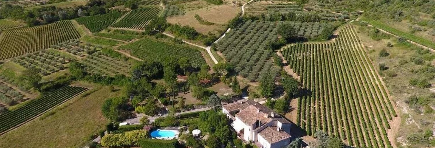 Maison 14 Pièces 545 m² à vendre à Saint-Sauveur-de-Cruzières (07460)