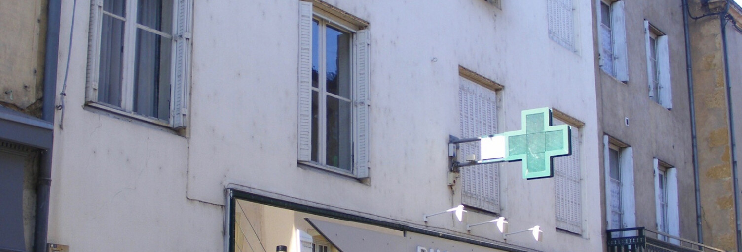 Maison 11 Pièces 250 m² à vendre à Marcigny (71110)