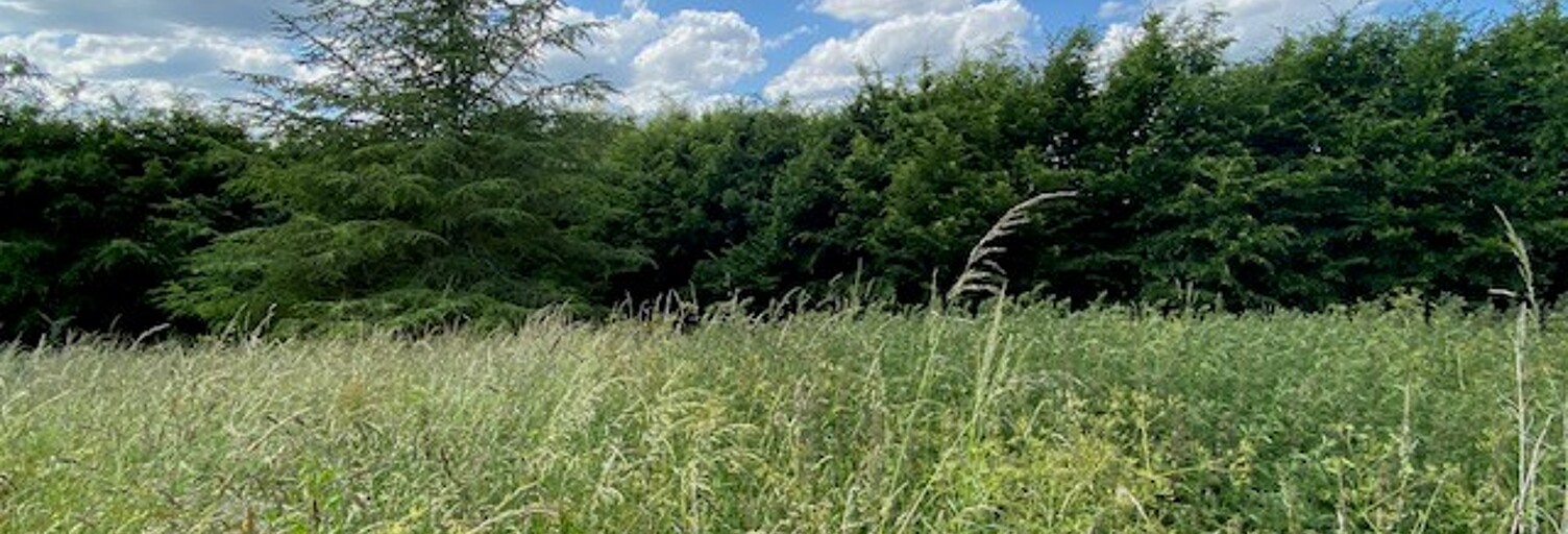 Terrain  824 m² à vendre à Les Trois Lacs (27940)