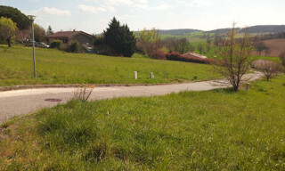 Photo N° 4
