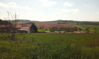 Photo N° 5