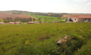 Photo N° 6