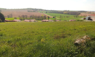 Photo N° 8