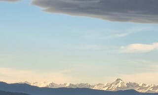 Photo N° 5