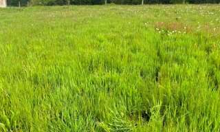 Terrain  509 m² à vendre à Porte-des-Bonnevaux (38260)