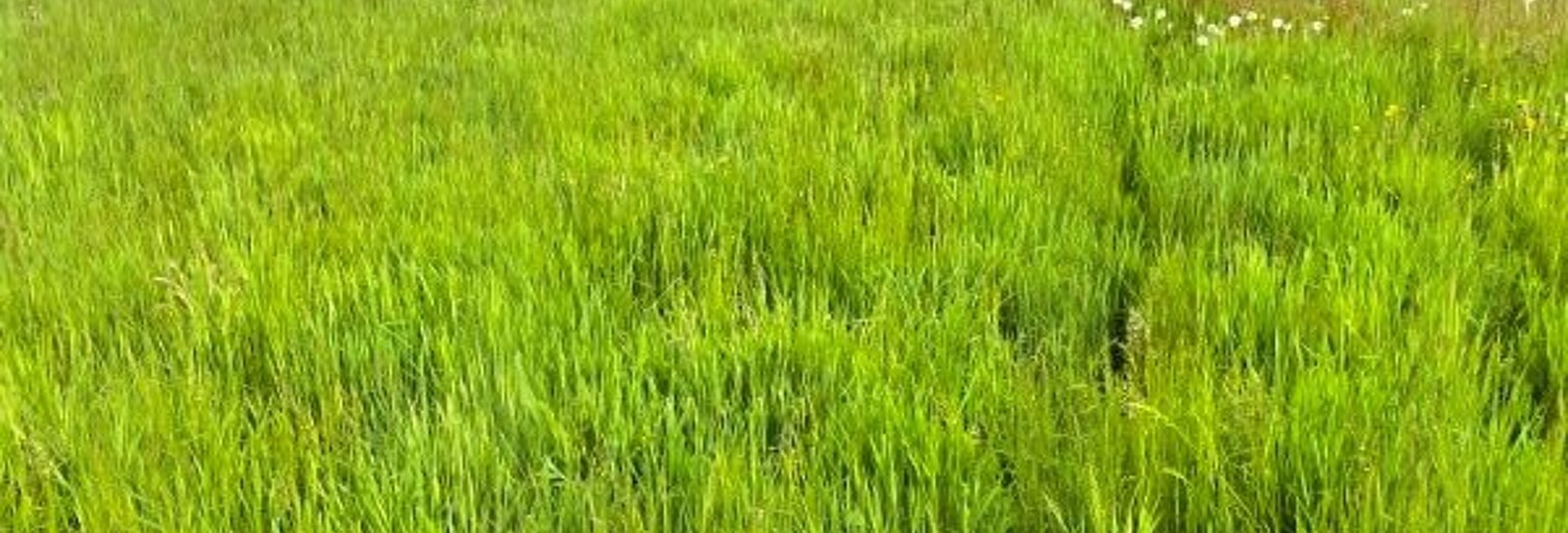 Terrain  509 m² à vendre à Porte-des-Bonnevaux (38260)