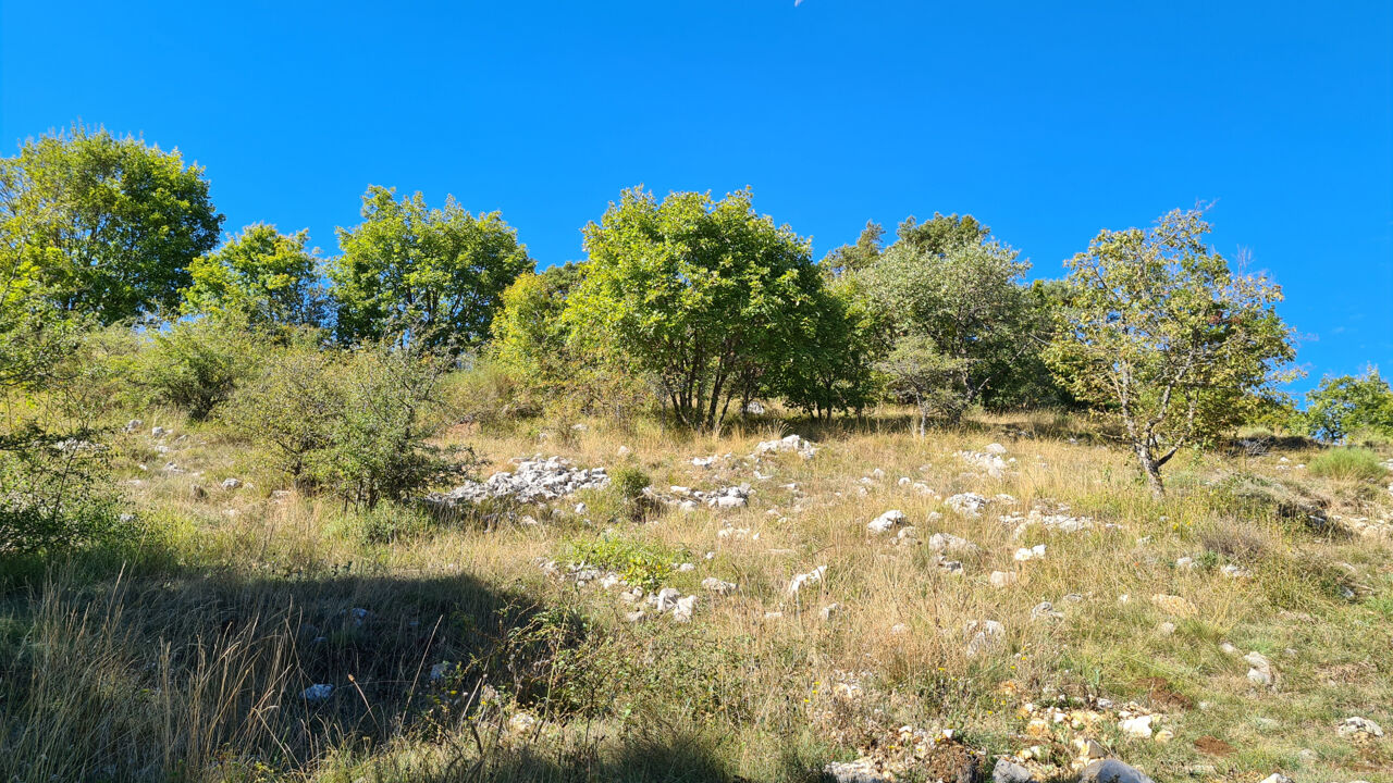 terrain  pièces 2000 m2 à vendre à Caussols (06460)