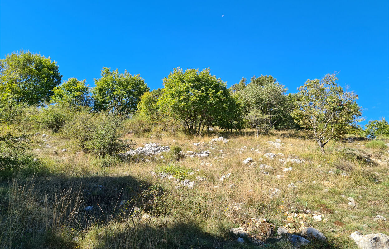 terrain  pièces 2000 m2 à vendre à Caussols (06460)