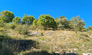 Terrain  2000 m² à vendre à Caussols (06460)