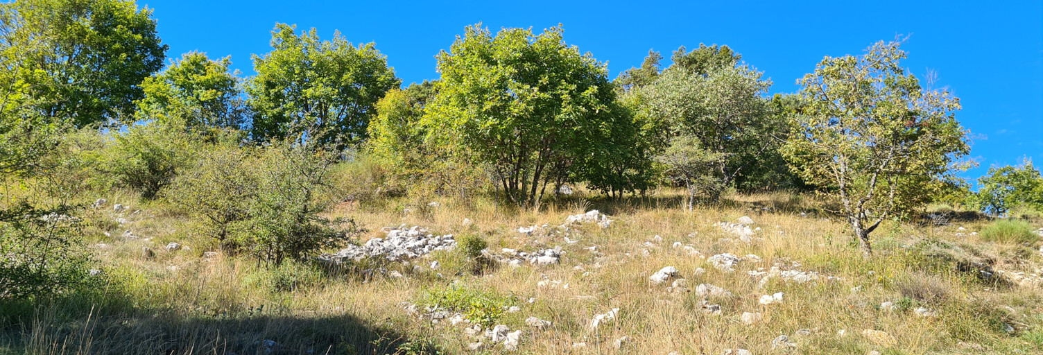 Terrain  2000 m² à vendre à Caussols (06460)