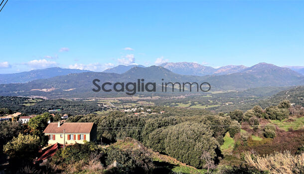 Appartement 3 pièces  à vendre Sartène 20100