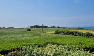 Photo N° 3