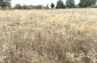 terrain  pièces 1130 m2 à vendre à Peyrignac (24210)