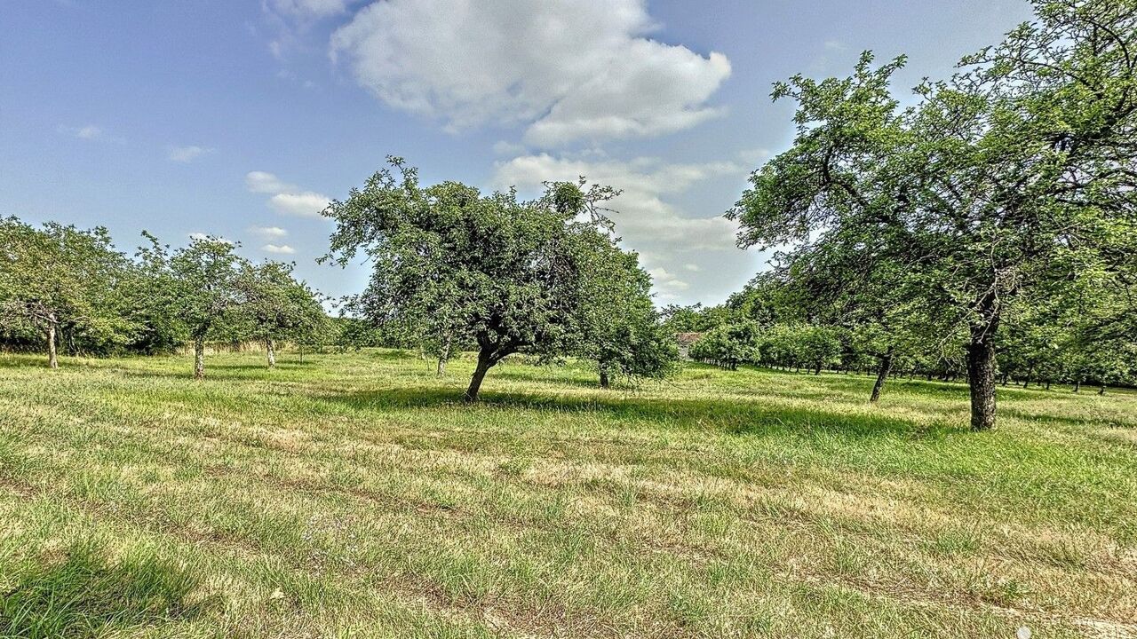 terrain  pièces 1549 m2 à vendre à La Selle-en-Hermoy (45210)