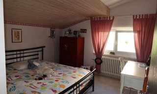 Photo N° 15