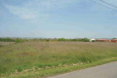 Terrain  80000 €