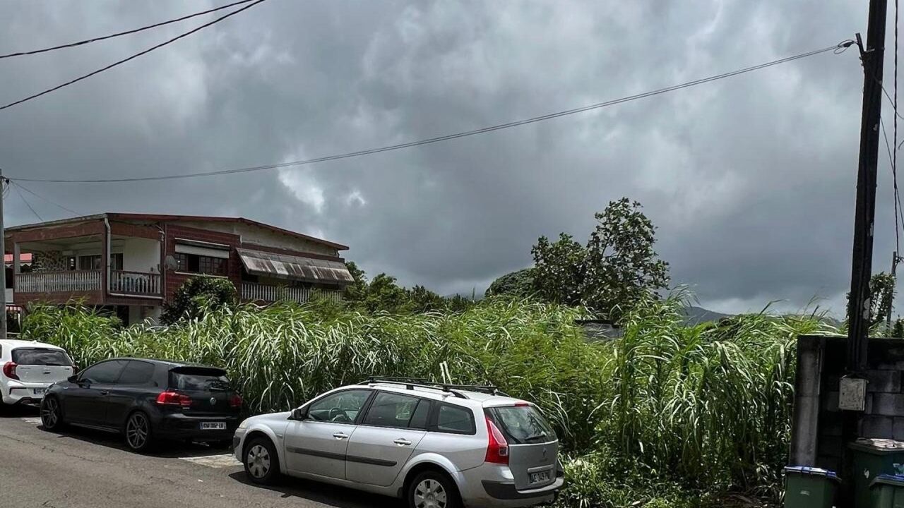 terrain  pièces 756 m2 à vendre à Le Morne-Rouge (97260)