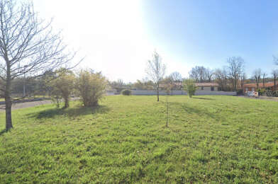 Terrain  80000 €